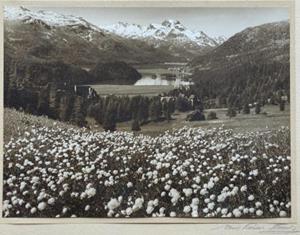 Landschaft im Juni - Oberengadin, vor 1927