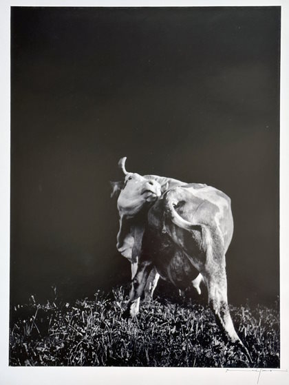 Groebli, Rene