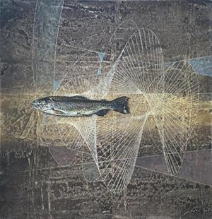 Forelle, 1956