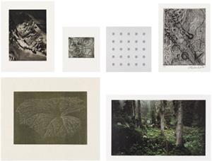 Cerebral-Mappe, 1994 (28/80)