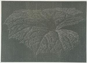 Pestwurz, 1994 (46/80)