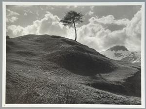 Bergfrühling im Fextal, Oberengadin