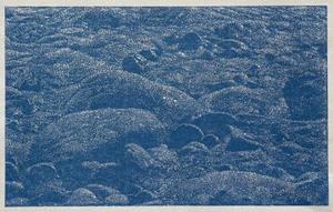 Cima del mar, 1992