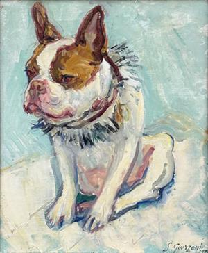 Boston Terrier mit Krägli, 1922