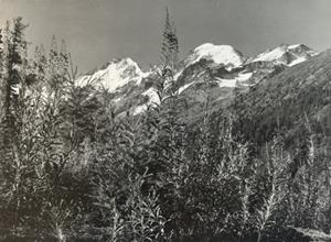 Piz Bernina, Piz Morteratsch von der Berninabahn aus gesehen, Montebeollo