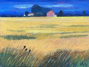 Sommerlandschaft