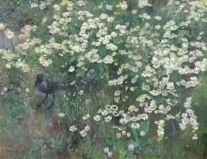 Dohle im Margeritenfeld, 1909