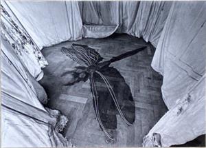 Der Schlüpfakt der Parkettlibelle, 1981