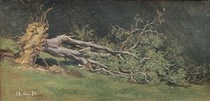Gestürzter Baum, 1850
