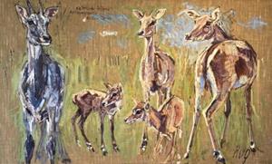 Antilopenfamilie, 1970